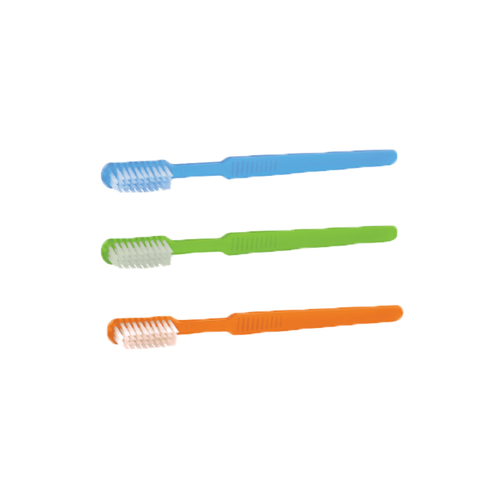 Einmal-Zahnbürste-mit-Zahnpastaimprägnierung-verschiedene-Farben-onlinshop-DoctorLab