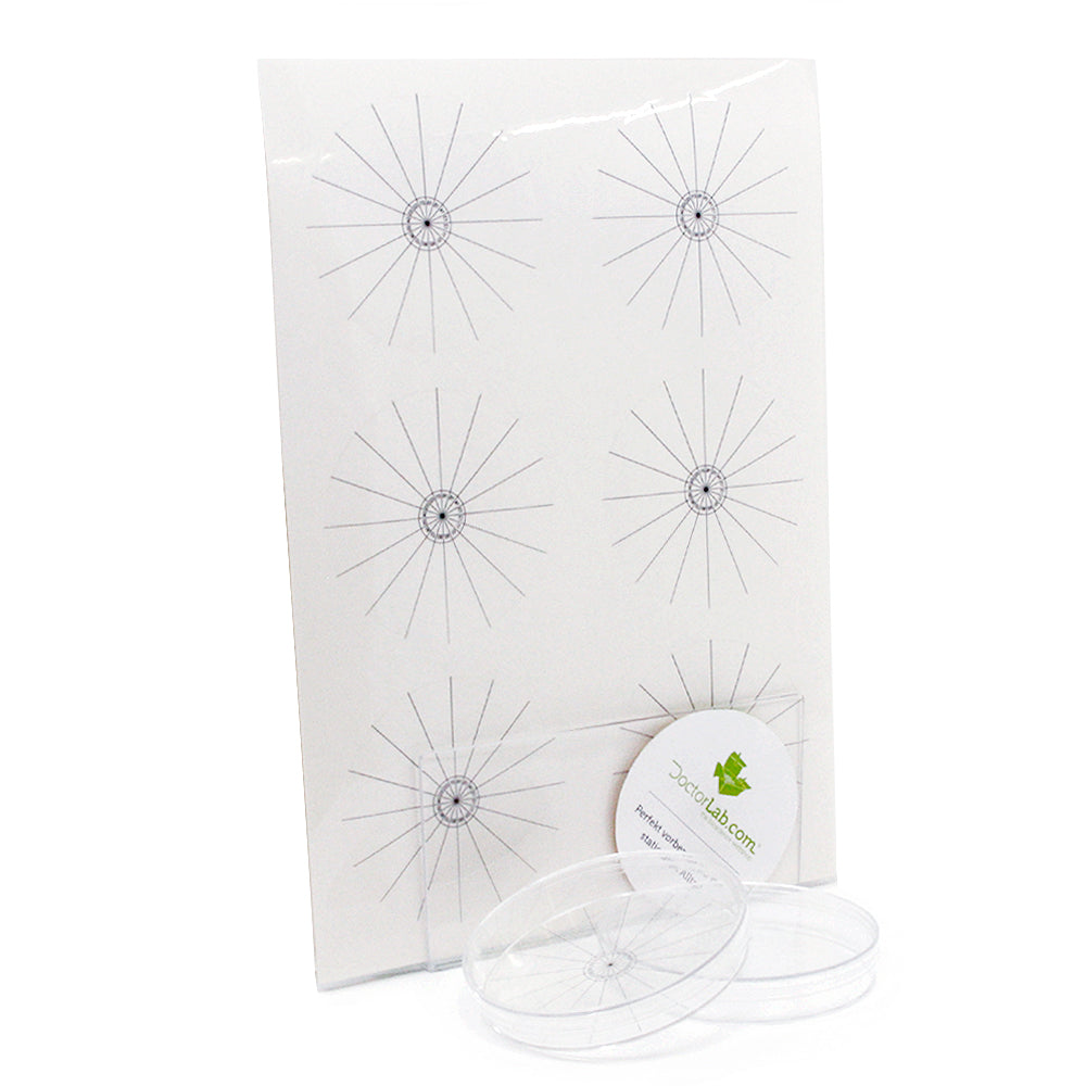 Orientierungs-Etiketten-Packung-Petri-Schale-90-mm-Sektorenstücke-onlineshop-DoctorLab-4